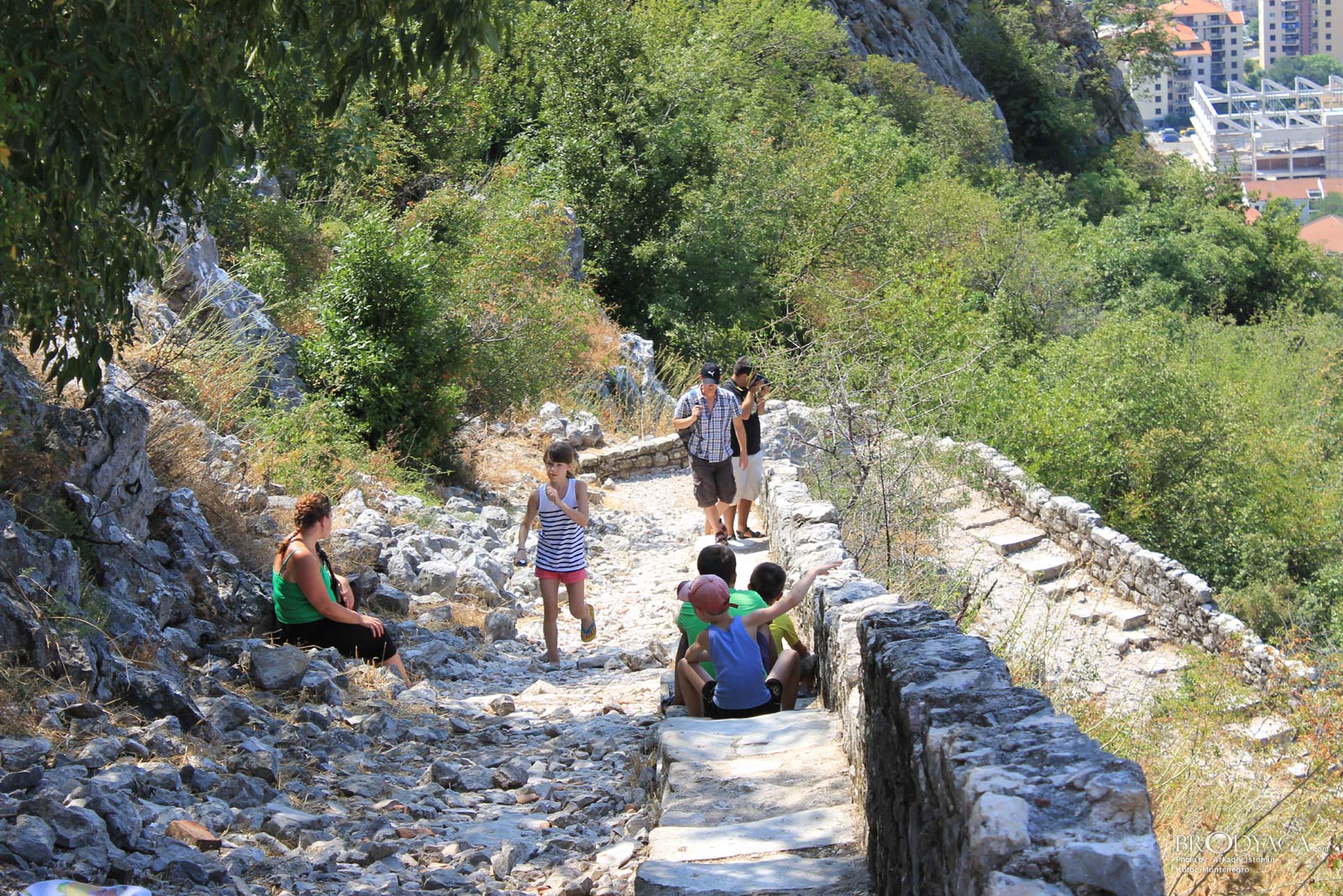 Kotor